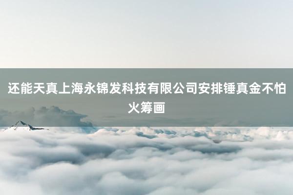 还能天真上海永锦发科技有限公司安排锤真金不怕火筹画