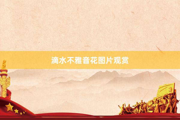 滴水不雅音花图片观赏