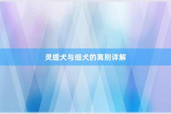 灵缇犬与细犬的离别详解
