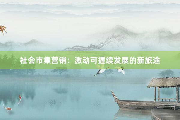 社会市集营销：激动可握续发展的新旅途